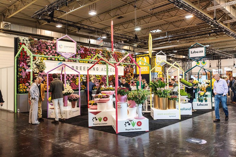 20250128-IPM-BreedingAccel-8346