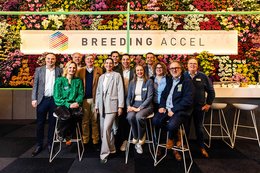 20250129-IMP-Breeding-Accel-1