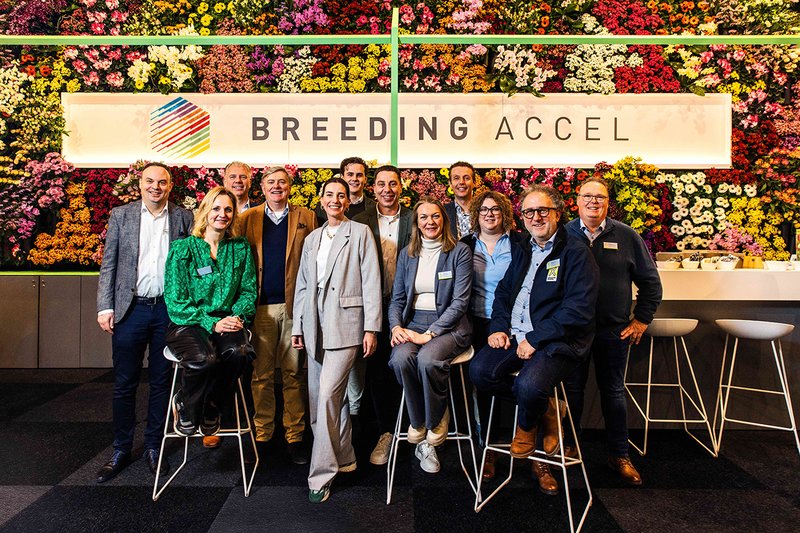 20250129-IMP-Breeding-Accel-1