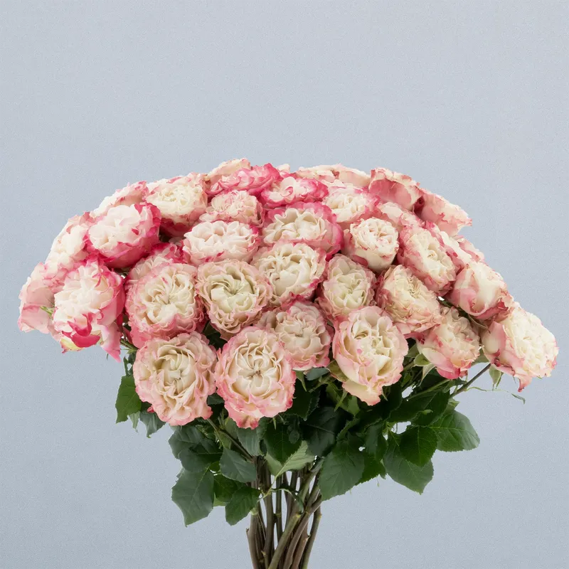 Blushing Flow_boeket