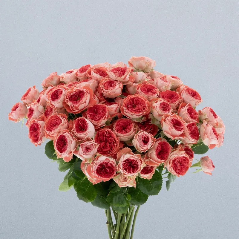 Catching Trendsetter_boeket