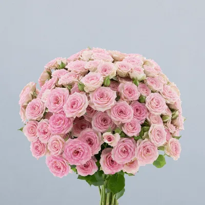 Creamy Twister_boeket