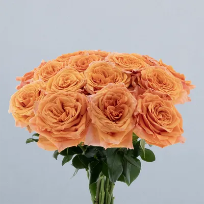 Exotix Orange_boeket