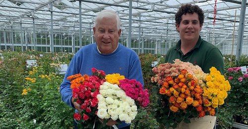 GP Ilsink, 2nd generation and Jurjen Ilsink 4th generation 1200