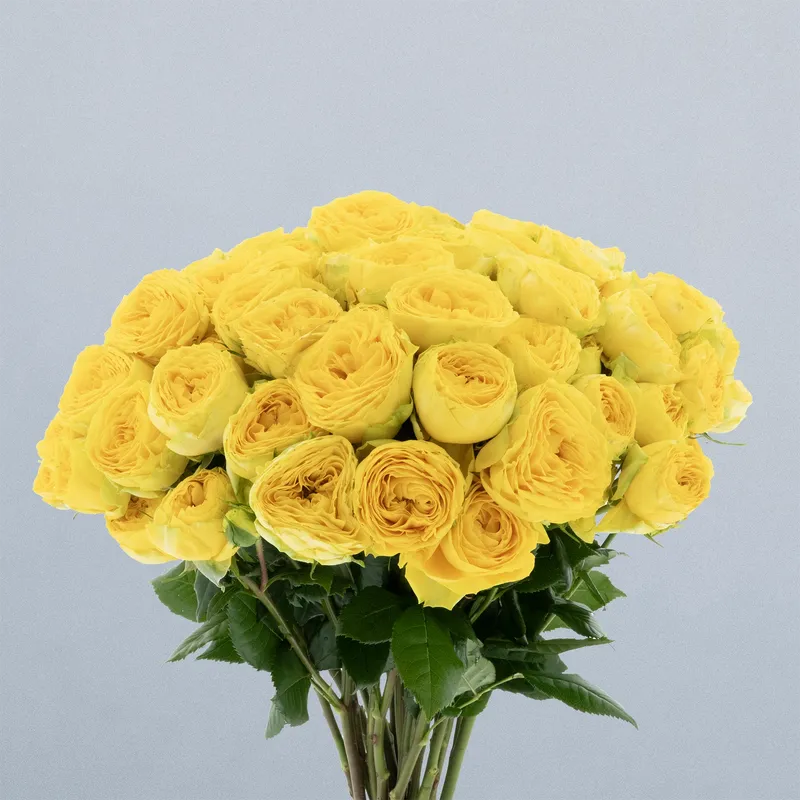 Golden Trendsetter_boeket