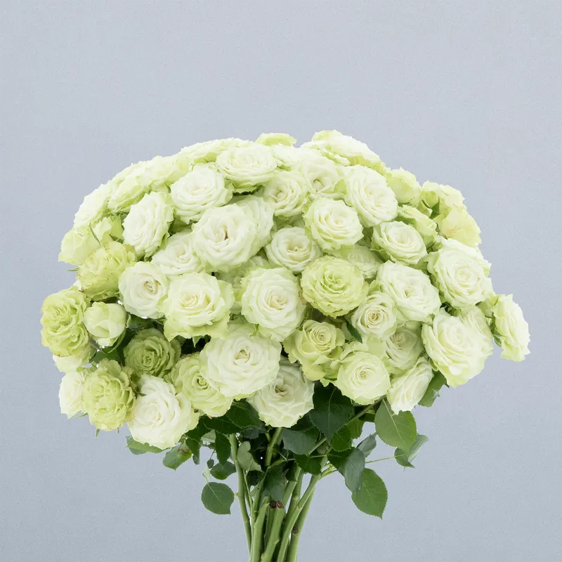 Green Glow_boeket_OG