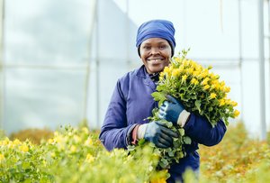 Interplant_East-Africa_Vacancies