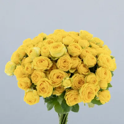 Luna Trendsetter_boeket