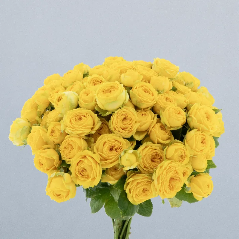 Luna Trendsetter_boeket