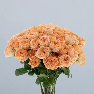 Orange Trendsetter_boeket