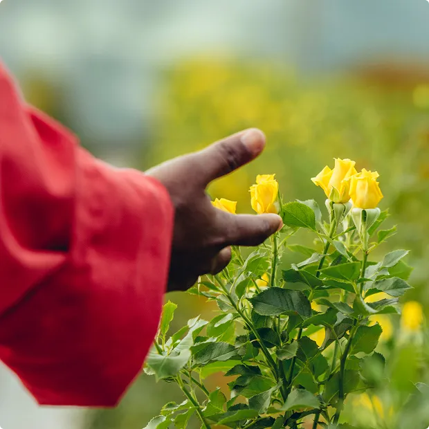 Involvement - Homepage