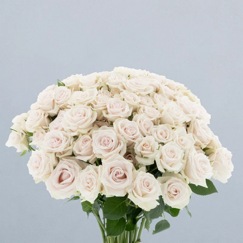 Royal Porcelina_boeket