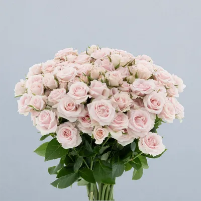 Sweet Porcelina_boeket