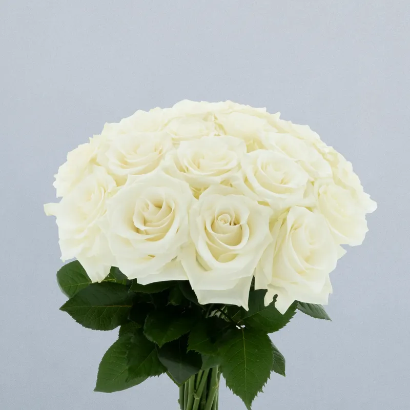 White Diamond_boeket